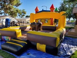 IMG 0296 1727829410 Mechanical Bull 'Violento 1'