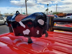 IMG 8674 1726274956 Mechanical Bull 'Violento 2'