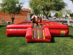 Mechanical Bull 'El Sencillo'