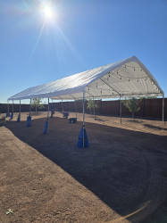 6996de0f 3c9a 4671 83c9 4ae9406dfa87 1765922535 Tent 20x50